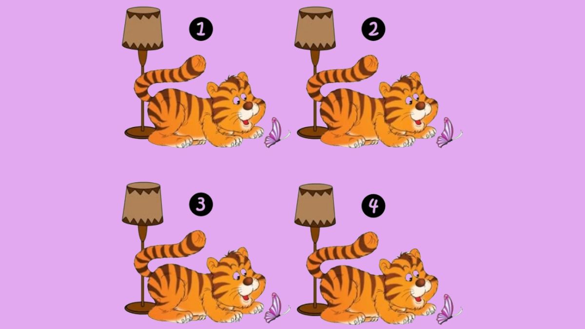 If You Possess Eyes Like a Hawk with Vision & 140+ IQ Level, then find the Odd Cub Among the Four Tiger Cubs