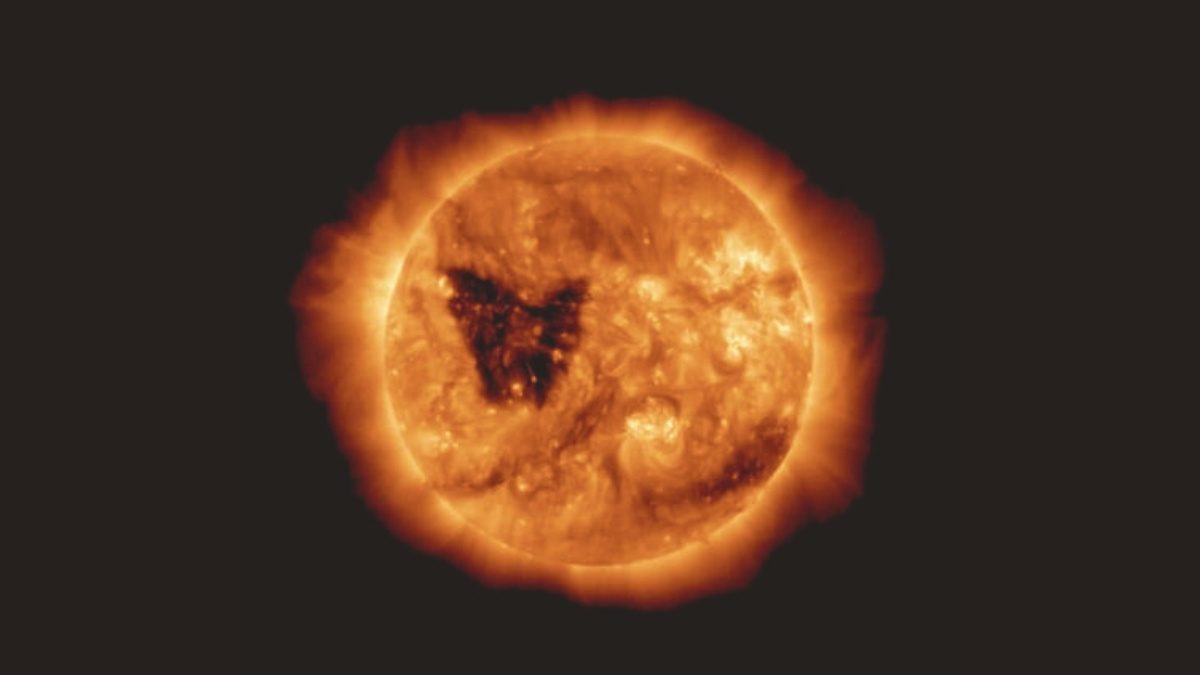 NASA Discovers Butterfly-Shaped Hole in the Sun: Know More!