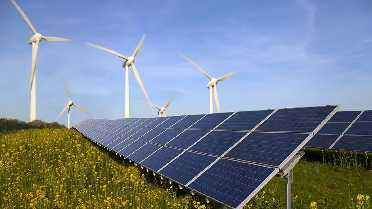 India's Green Leap: Solar and Wind Power Set Record in First Half of 2025