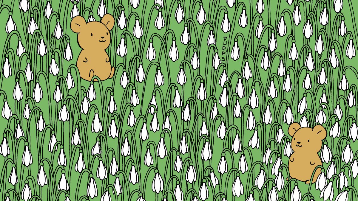 Even People With 20/20 Vision Failed To Spot Four Caterpillars In 24 Seconds!