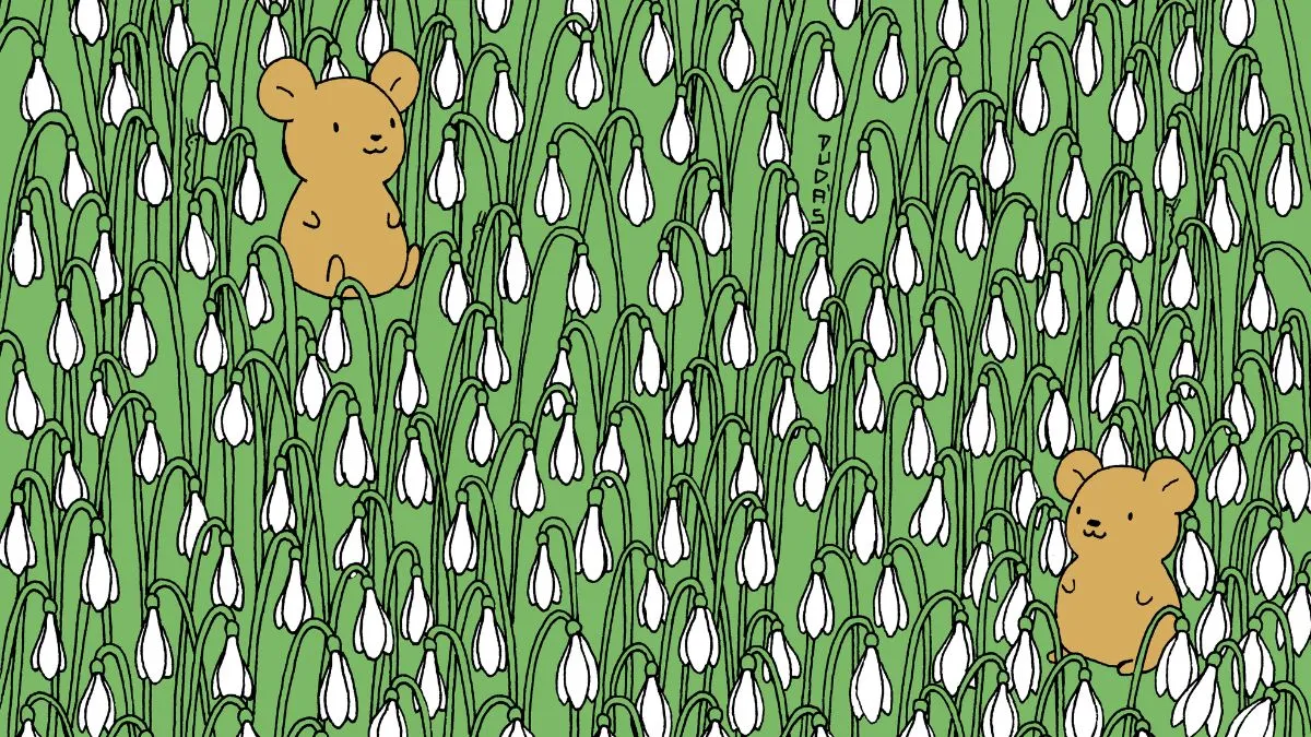 Find four caterpillars.