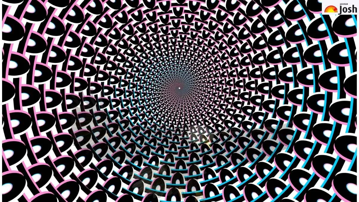 Can you find out which bird is hidden in this Swirling Tunnel Vortex Effect Optical Illusion?
