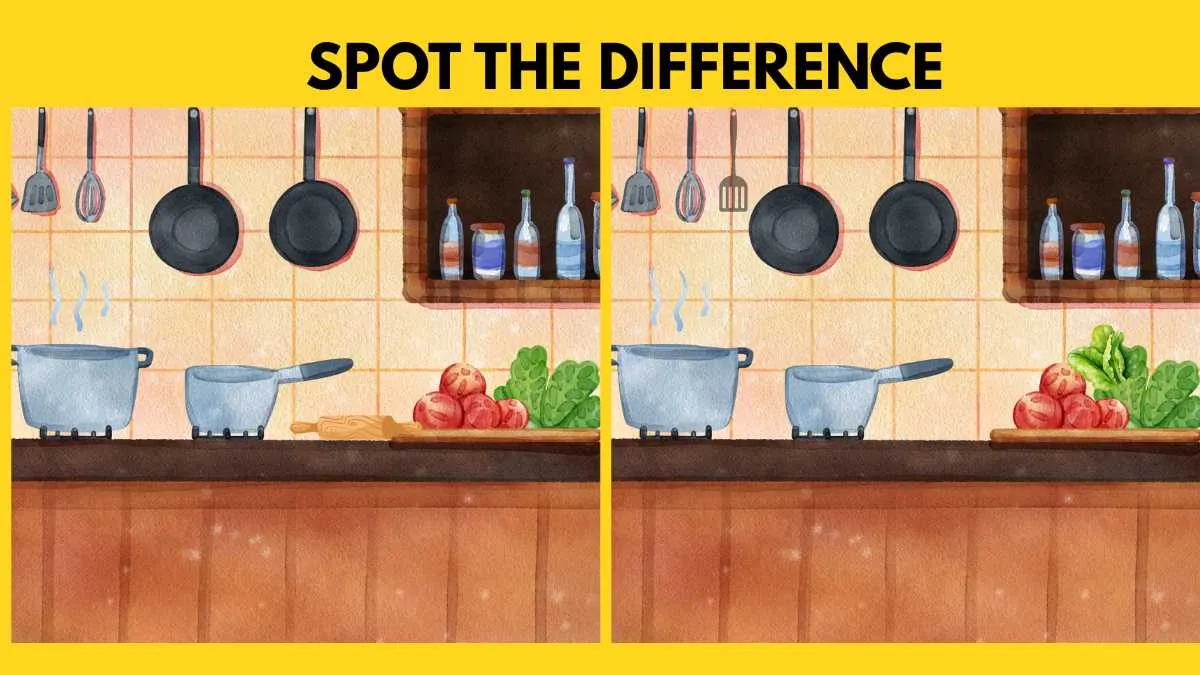 Spot the Difference