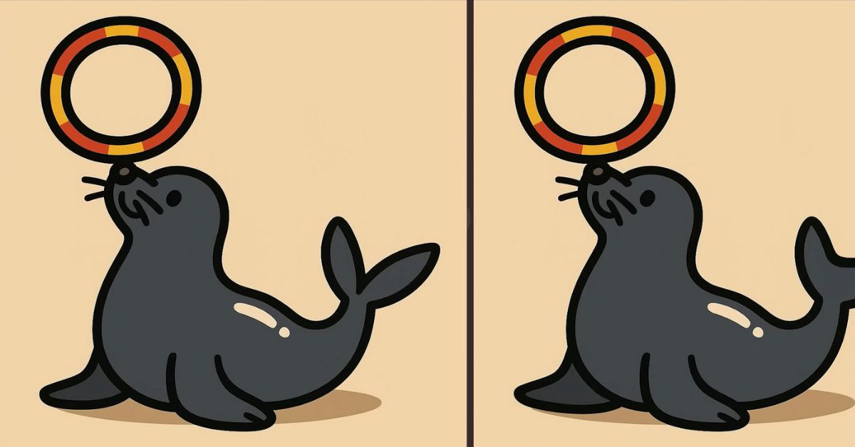 Spot the 3 Differences in Seal Showing Tricks Beat the 23-Second Challenge!