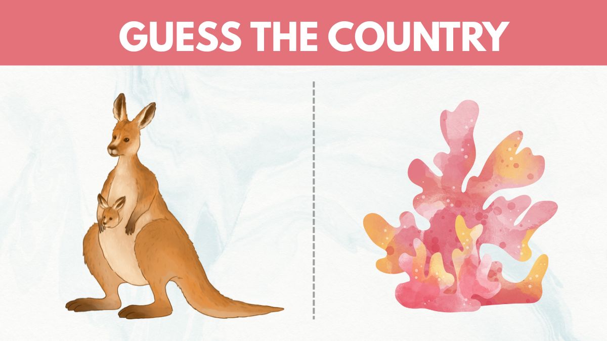 Can You Solve the Country Riddle of Kangaroos and Reefs in 12 Seconds?
