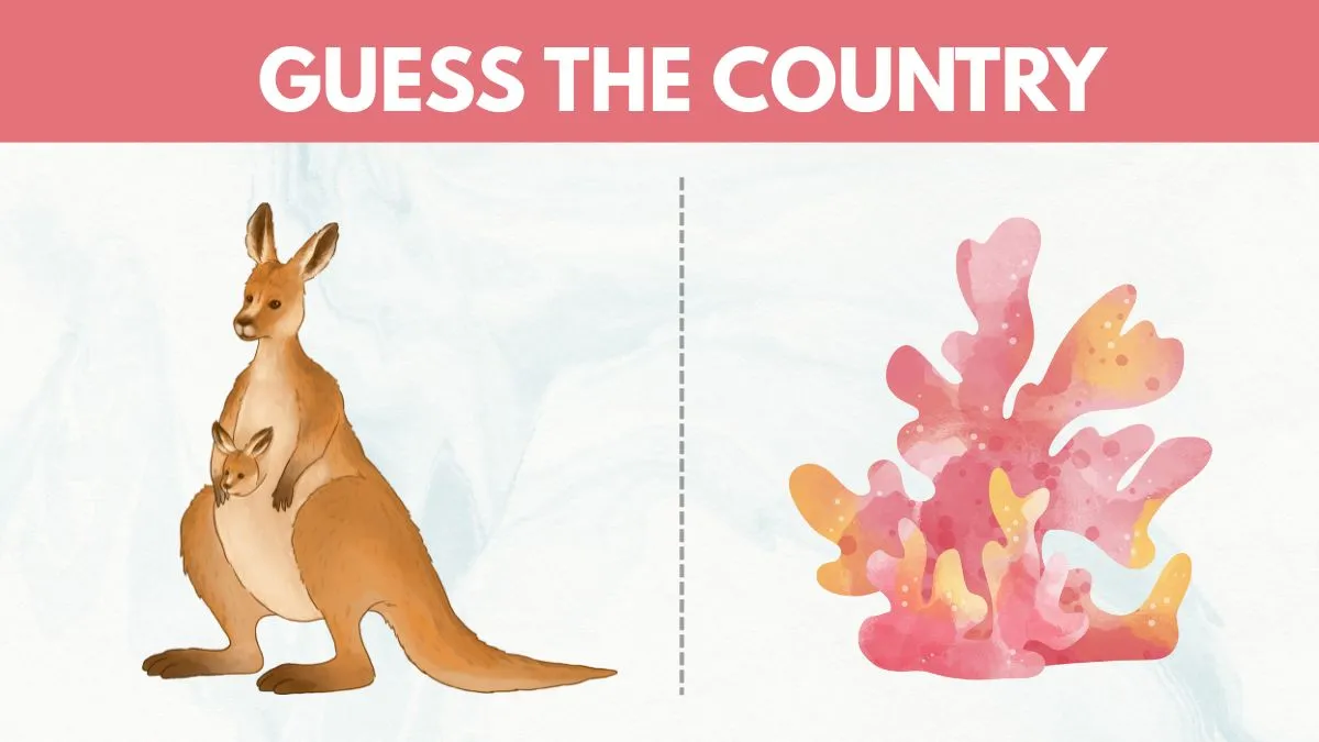 Guess the Country