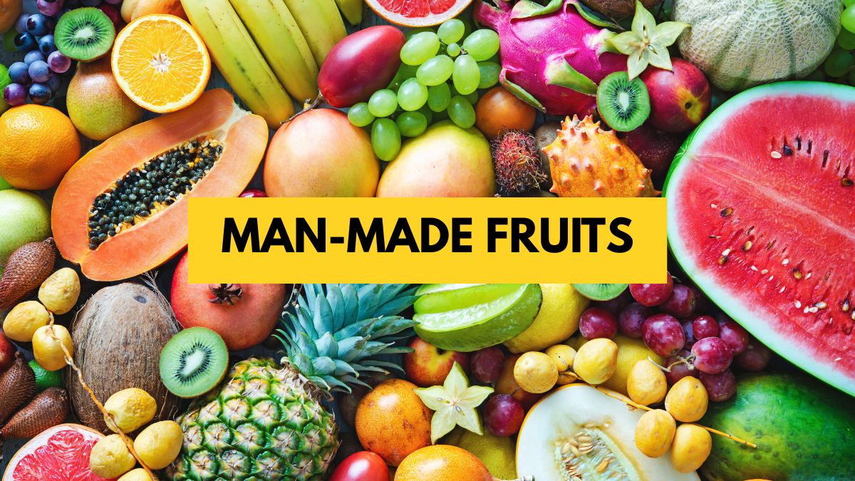 List of Man-Made Fruits