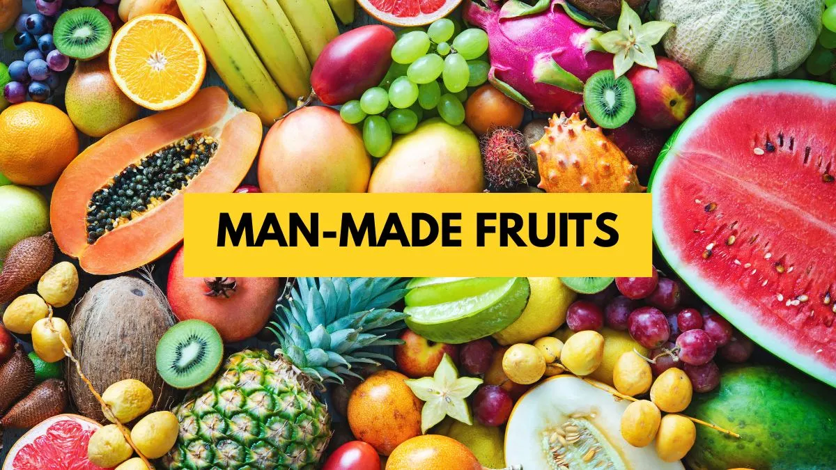 Man-Made Fruits