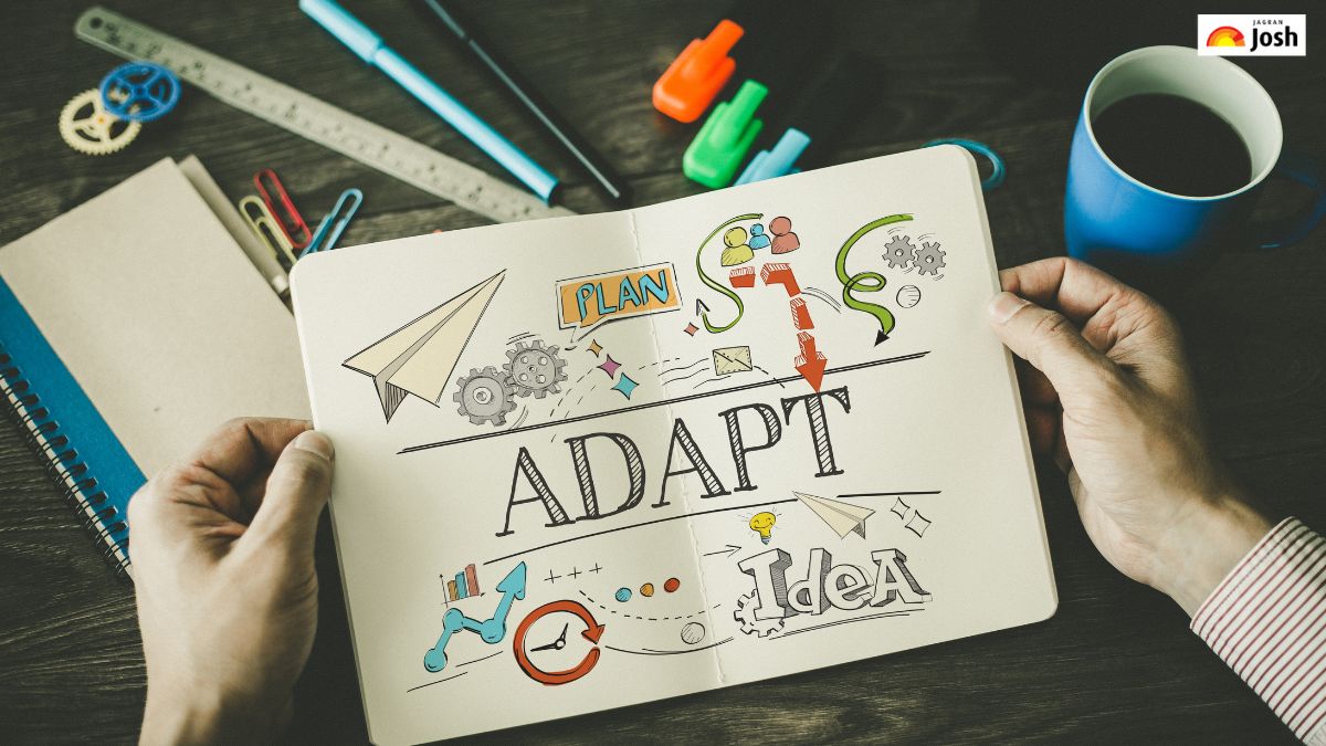 Why is Adaptability Important for a Successful Career?