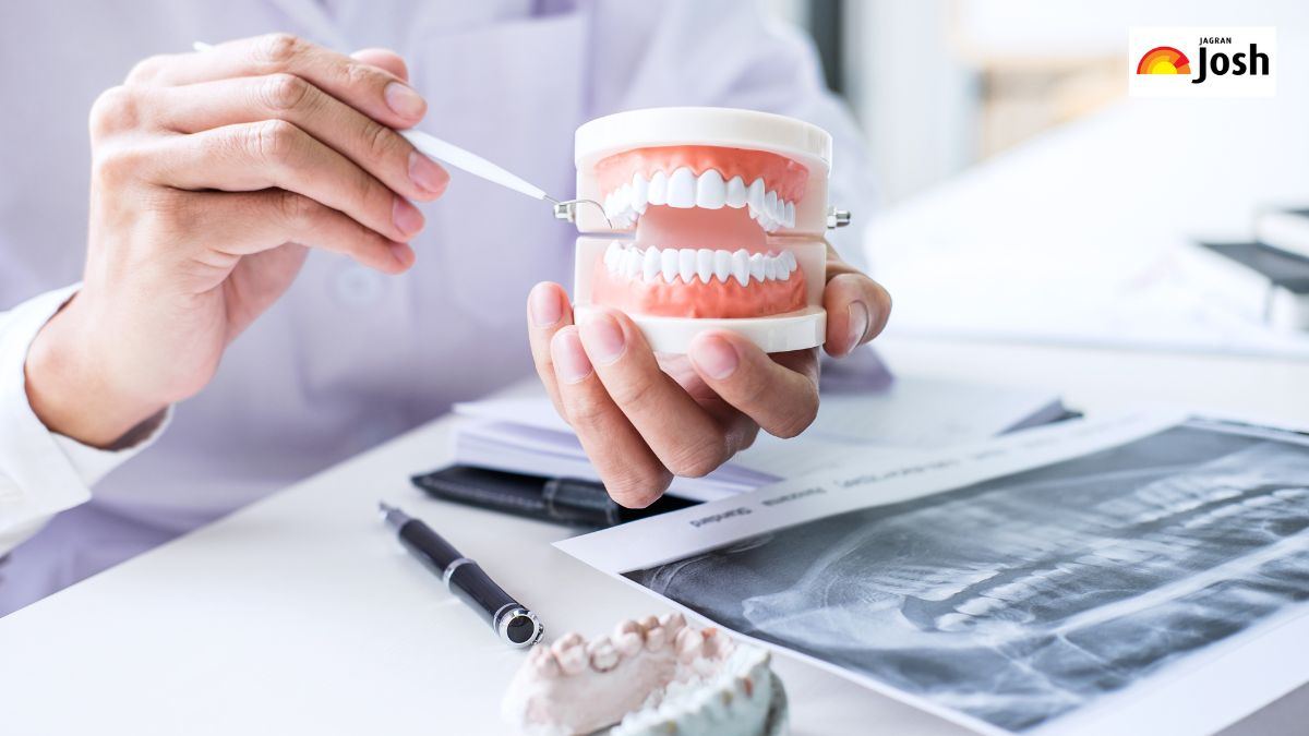 BTSC Dental Hygienist Recruitment 2025: बिहार दंत स्वास्थ्य विज्ञानी के 702 पदों पर भर्ती, आयु सीमा सहित डिटेल जानें
