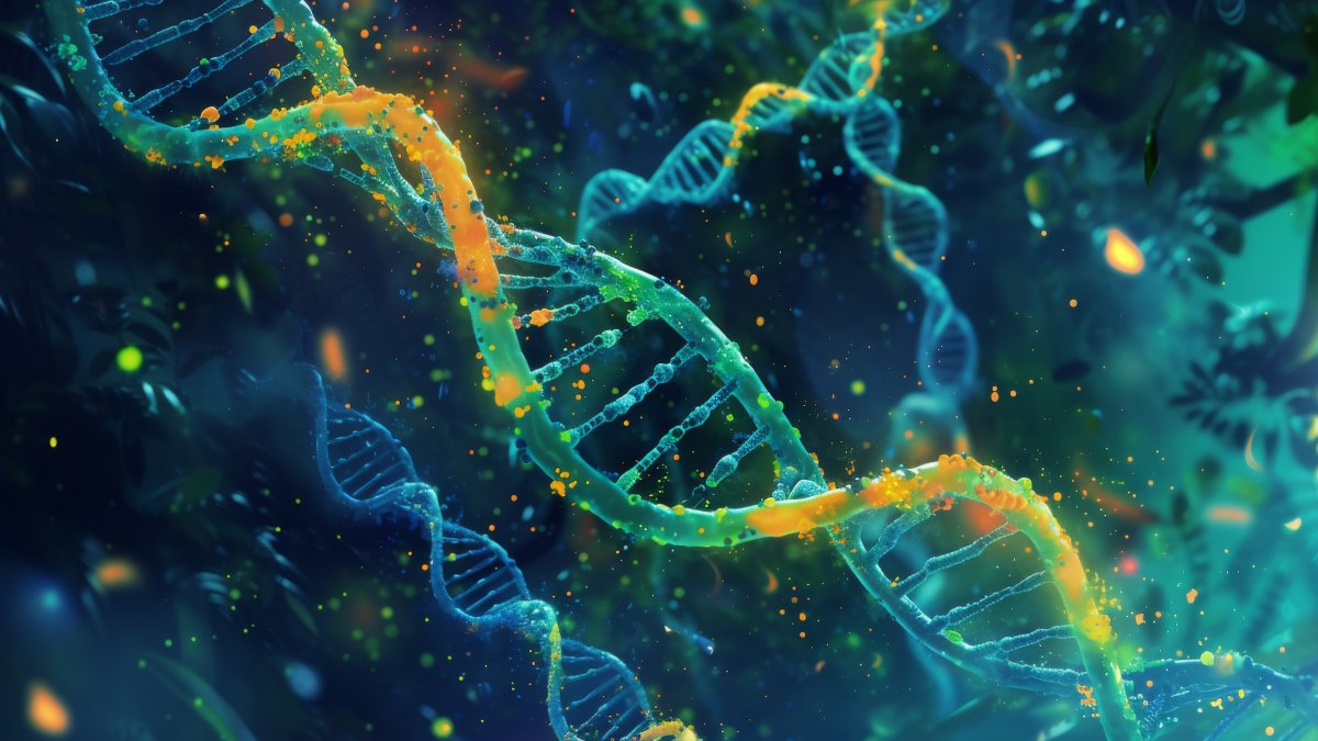 What is the Full Form of DNA?