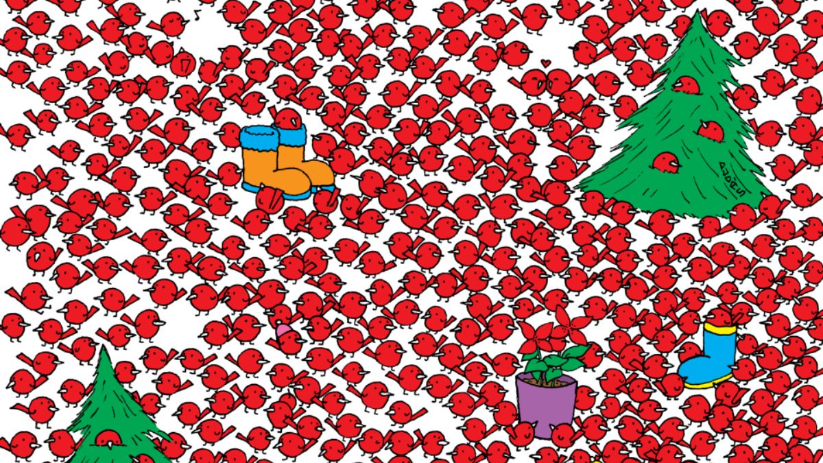Everyone Can See Birds But Nobody Could Spot Three Hidden Apples! Can You Find Them In 24 Seconds?