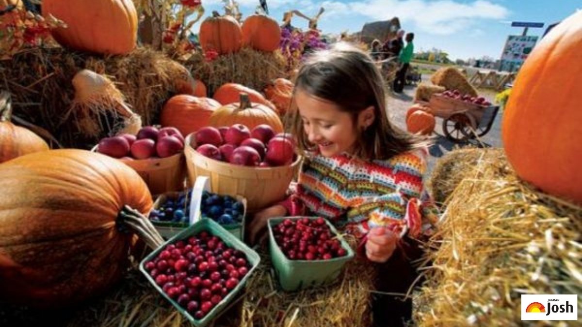 Autumn Harvest Season in USA: Check Nature’s Bounty, Festivals, Farming & Traditions!
