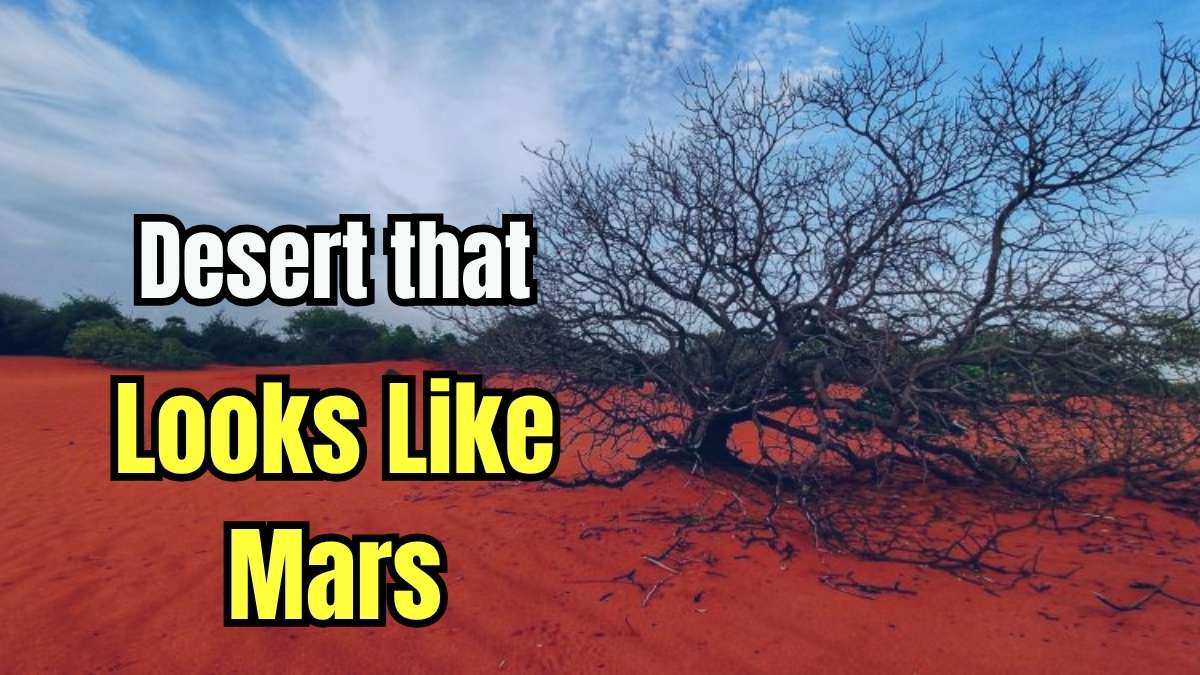 A Desert in India that Looks like Mars; Check where it is Located
