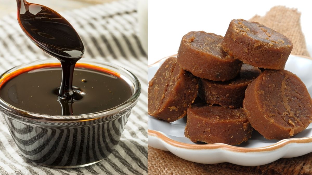 Which State is Known as the Molasses Basin of India?