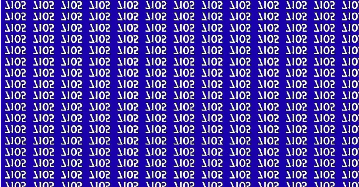 Find the Hidden Odd Number