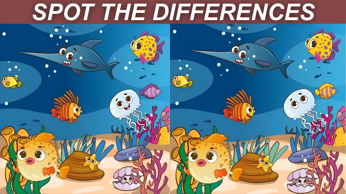 Spot 3 Differences Between Two Underwater Scenes in 15 Seconds!