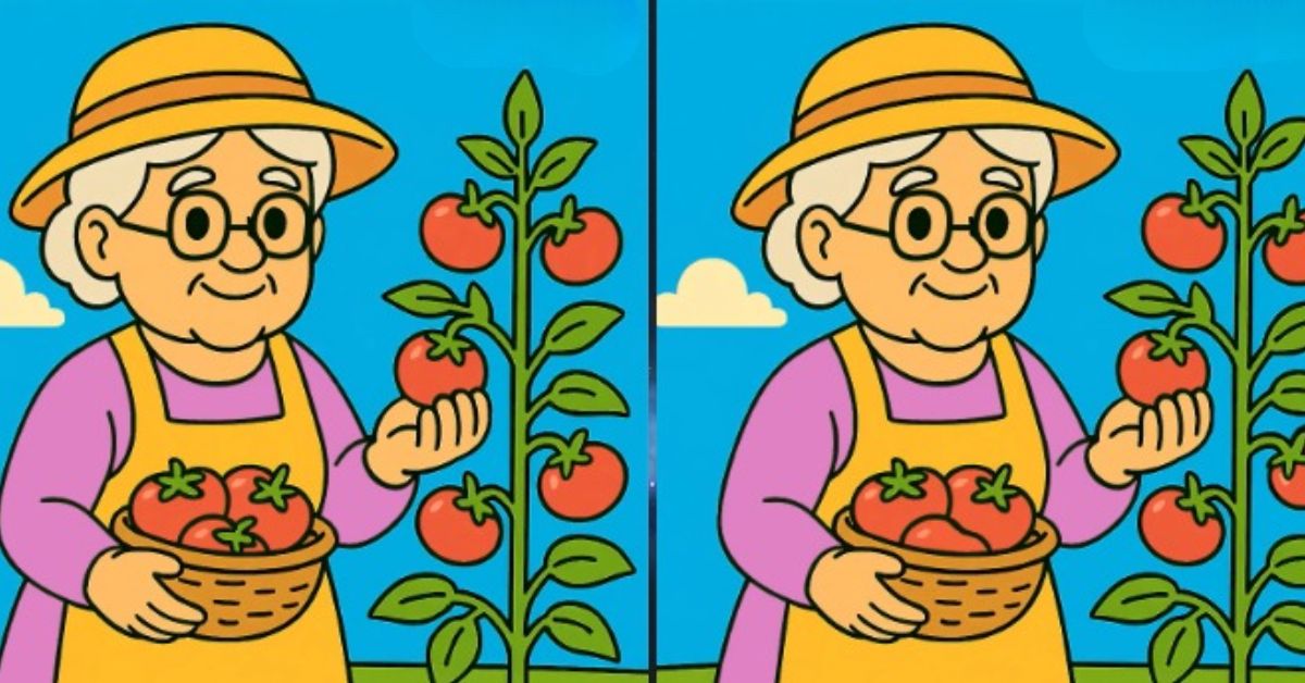 Spot the 3 Differences in Old Lady Picking Tomatoes Beat the 51-Second Challenge!