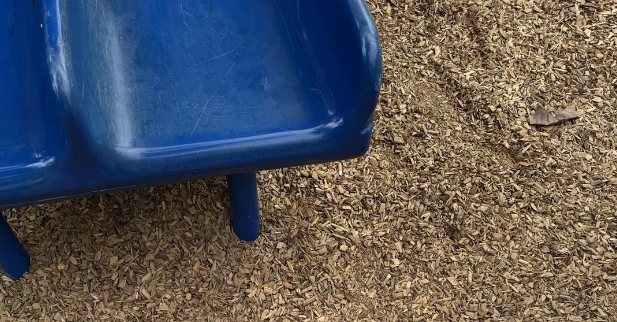 Use Your Hawk Eye Vision to Earn the Genius Title by Finding the Tricky Hidden Hair Clip in This Park Illusion!