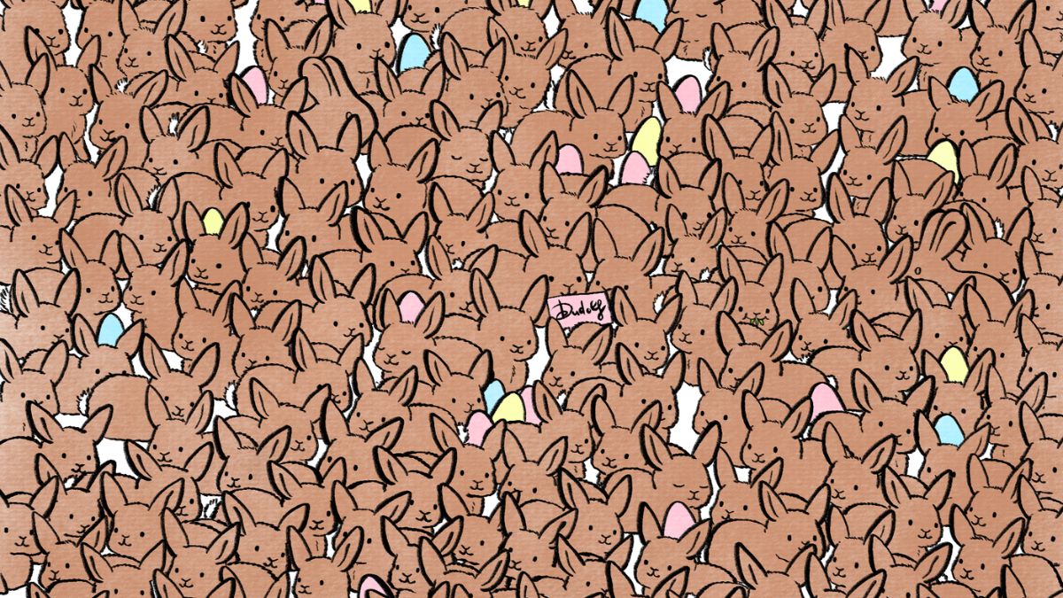 Only For High IQ Minds! Can You Find Three Chocolate Rabbits In 25 Seconds?