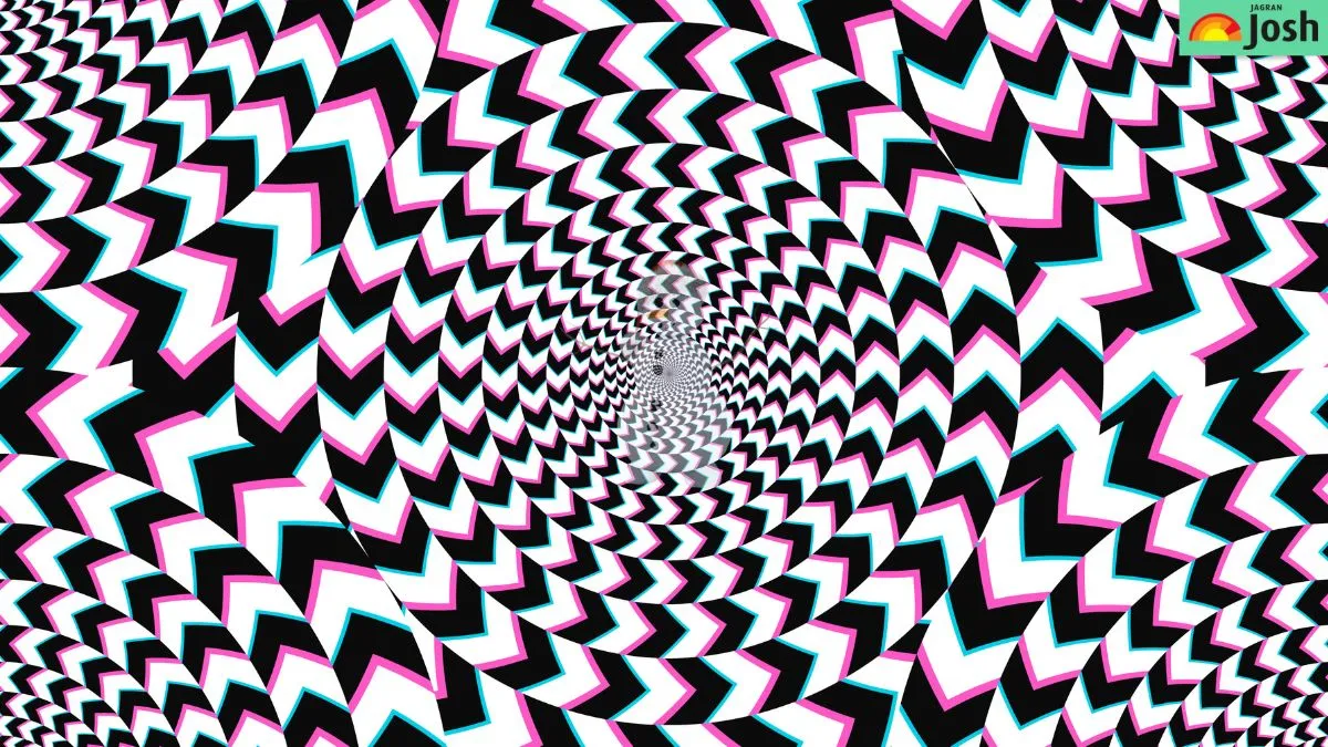 What is hidden in this Geometrical Rotating Vortex Motion Optical Illusion?