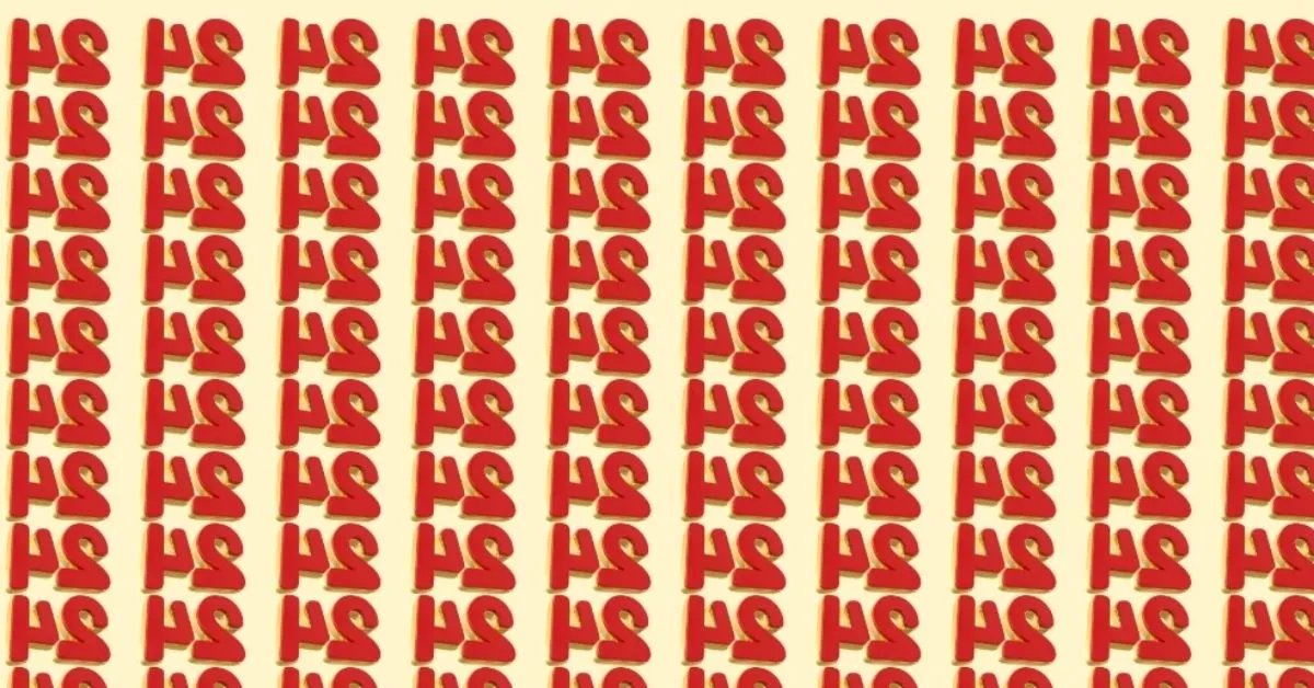 Find the Hidden Odd Number
