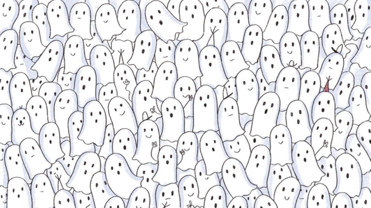 If You Are Super Sharp With Eyes Like Eagle, Then Spot The Hidden Seal Among Ghosts In 20 Seconds!