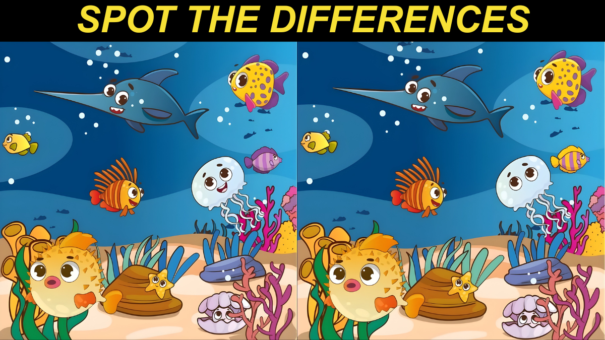 Spot 3 Differences Between Two Underwater Scenes in 15 Seconds!