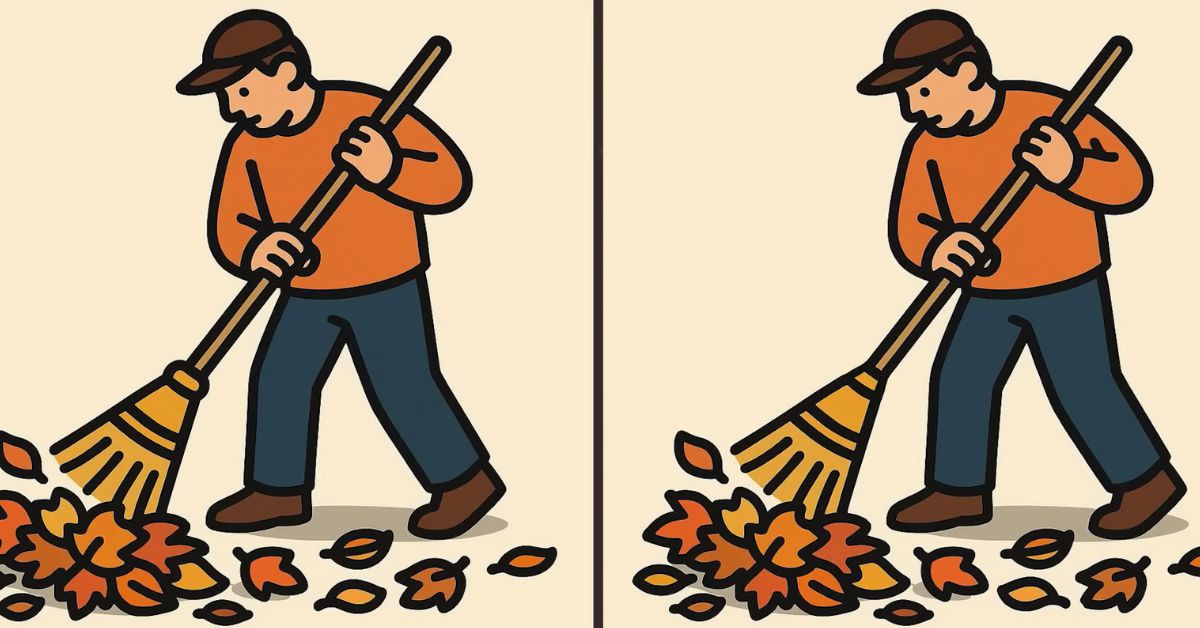 Spot the 3 Differences in Man Cleaning Leaves Beat the 49-Second Challenge!