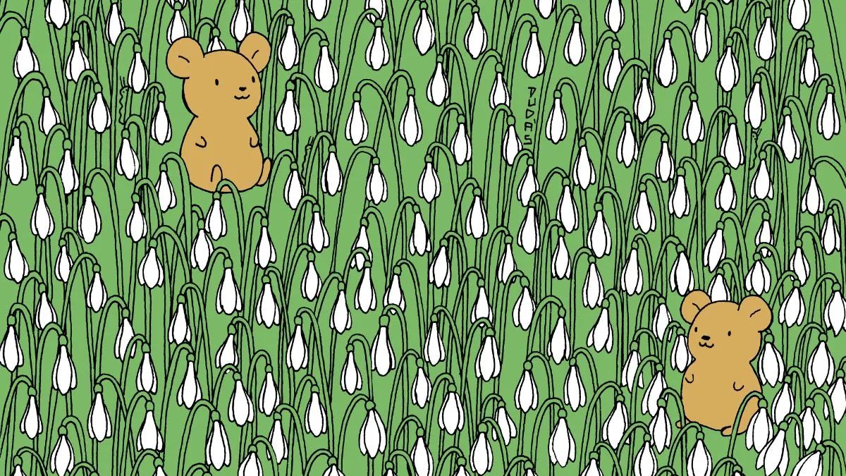 Spot and Find Picture Puzzle To Test Your IQ! Can You See Four Hidden Caterpillars In 21 Seconds?