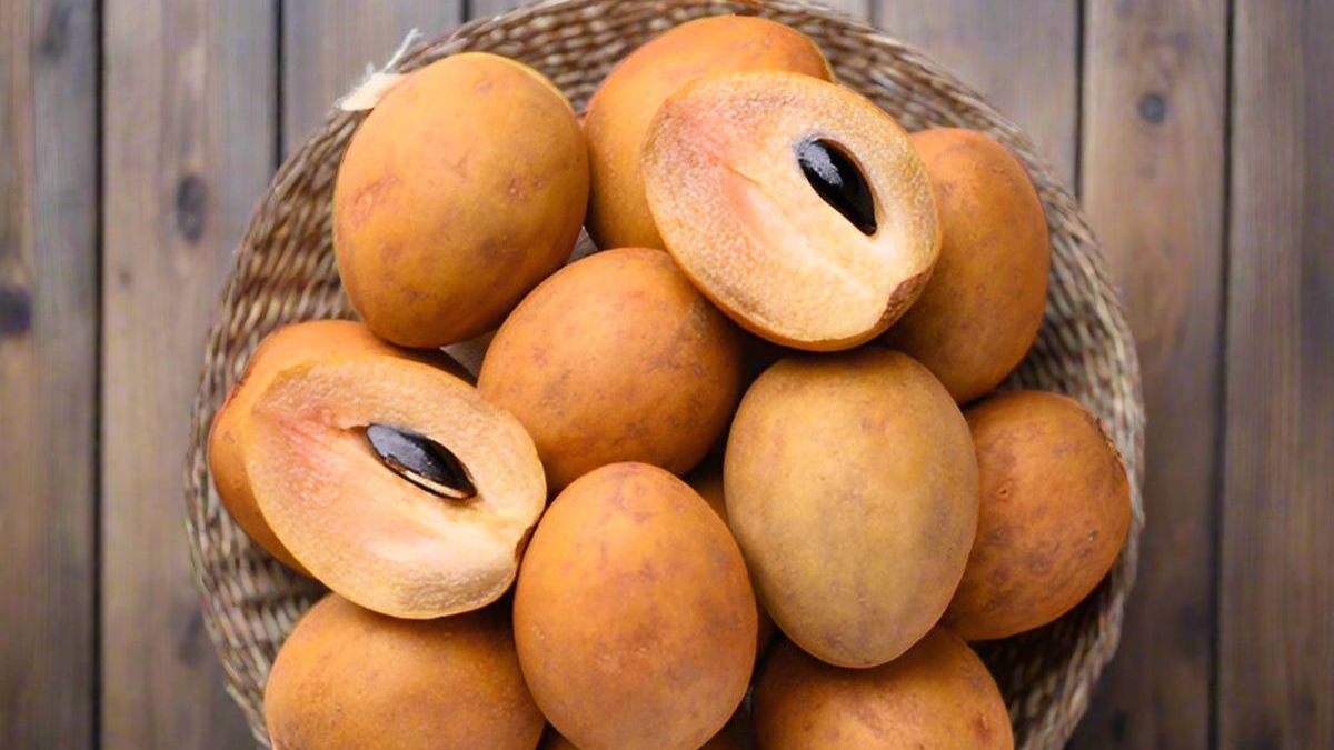 Which Country is the Largest Producer of Sapodilla in the World?