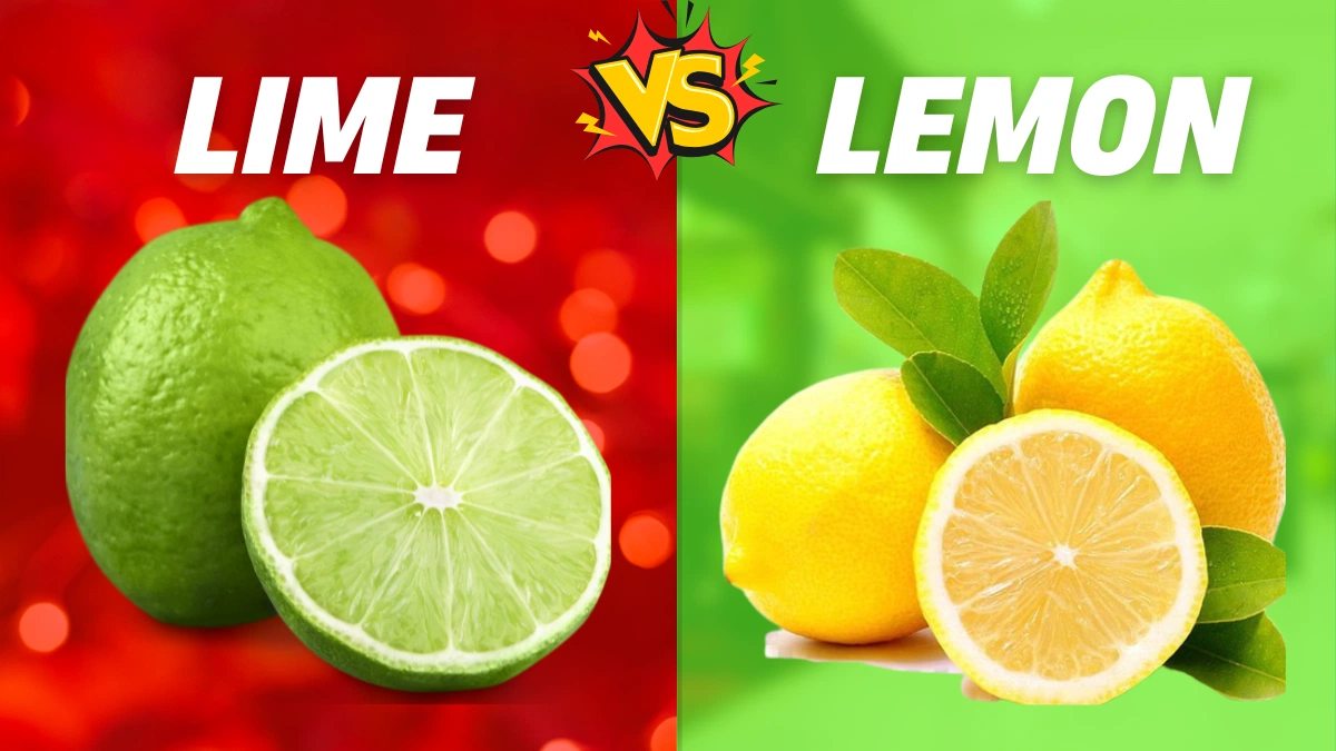 Lime vs Lemon: Check All the Differences Here!