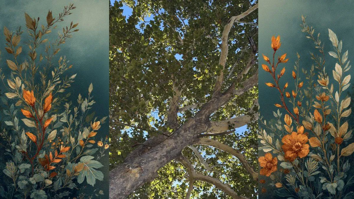 Spot the Two Hidden squirrels in this Real-Art Fusion Optical Illusion
