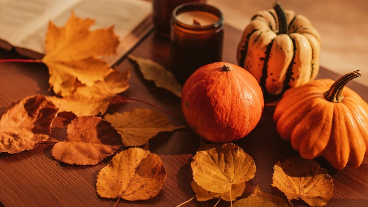 Fall 2025: What are the Top 9 Most Produced Fall Essentials? Check List Here!
