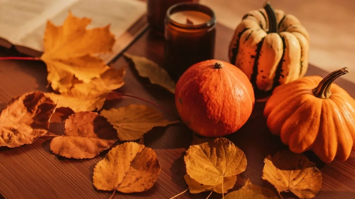 What are the Top 9 Most Produced Fall Essentials in 2025?