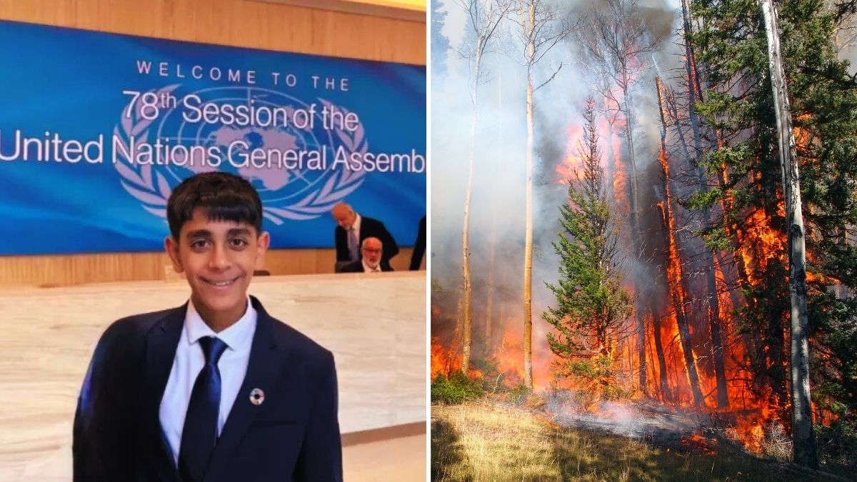 Who is Siddhartha Patel Daswani: Read about Indian-American Teen using AI to Stop Wildfires!
