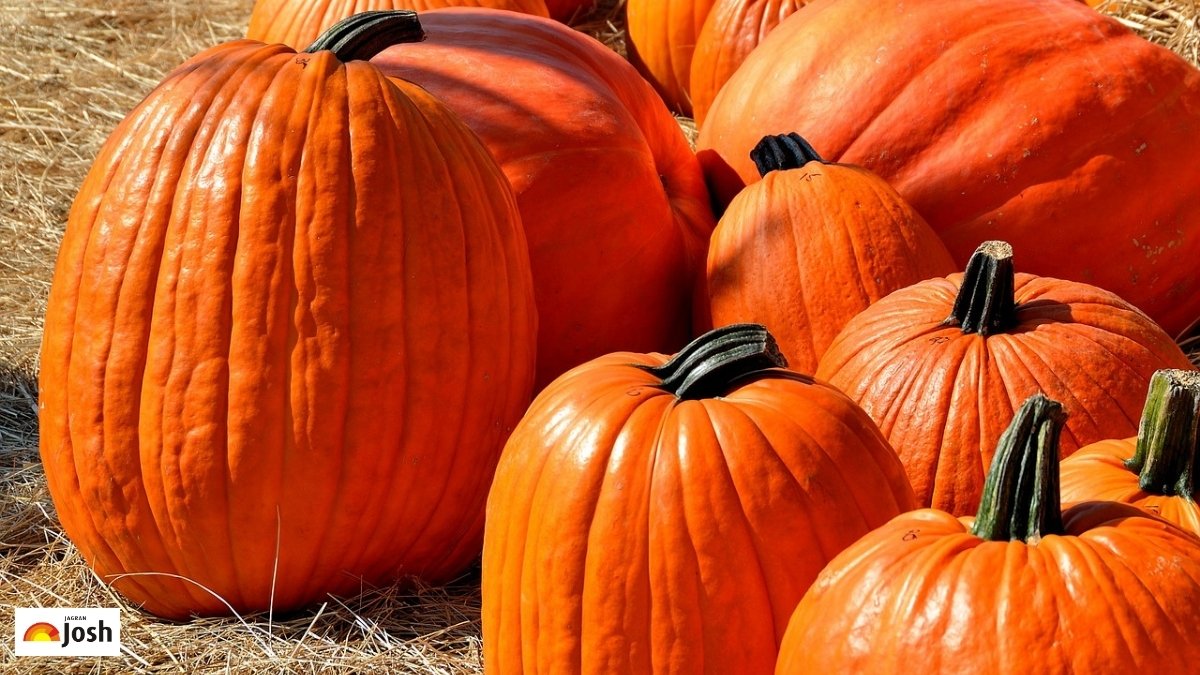 National Pumpkin Day, October 26, 2025: Celebrate in the U.S. with Pumpkin Fun