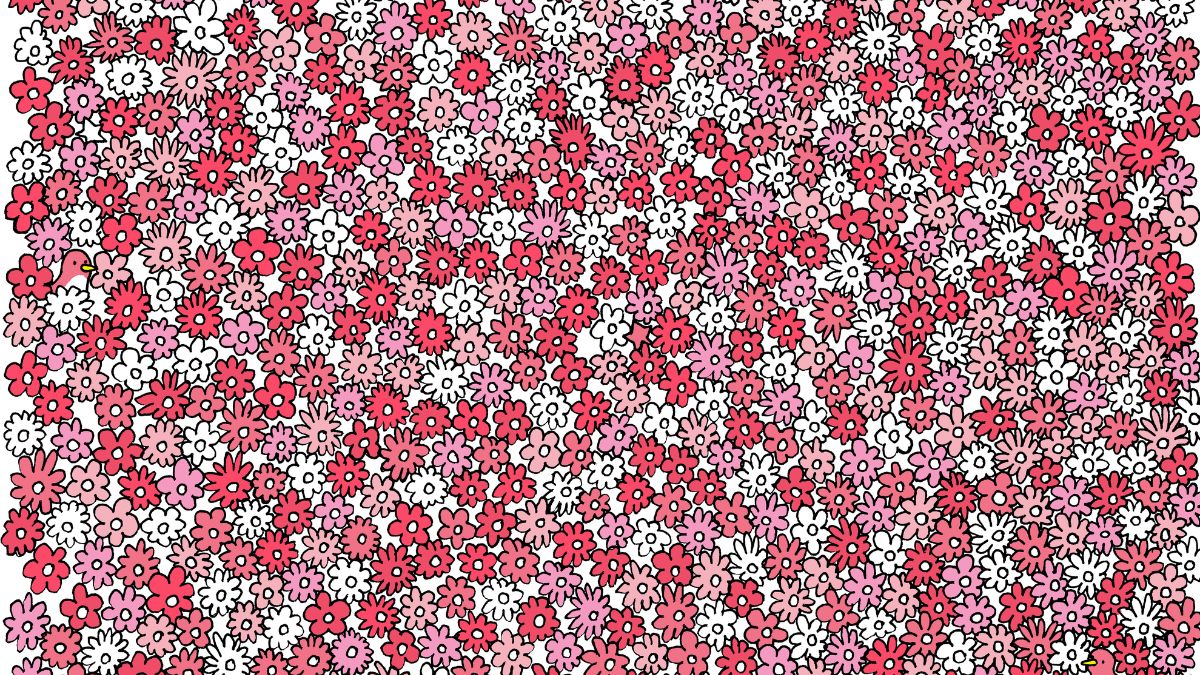 If You Possess A Brain Faster Than A Computer, Then Can You Find Five Stars In 12 Seconds To Prove You Are A Puzzle Champion?

