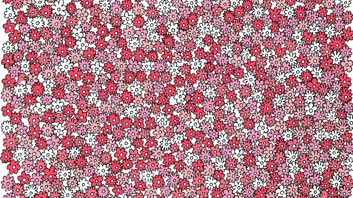 Find five stars hidden among flowers.