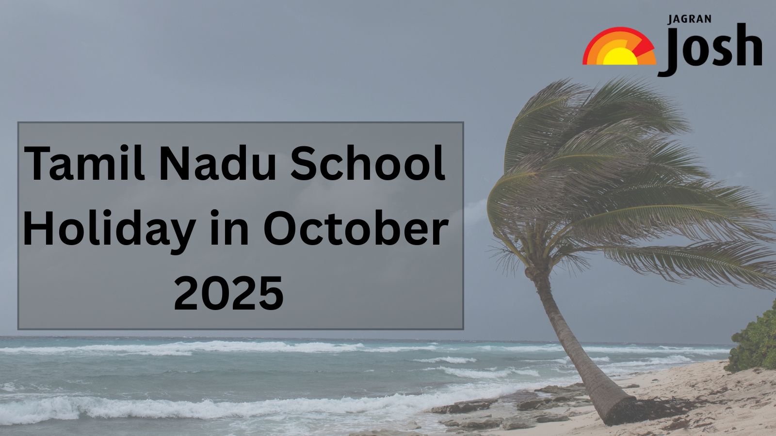 Tamil Nadu School Holiday in October 2025 - Schools Closed Due to Heavy Rainfall in These Districts