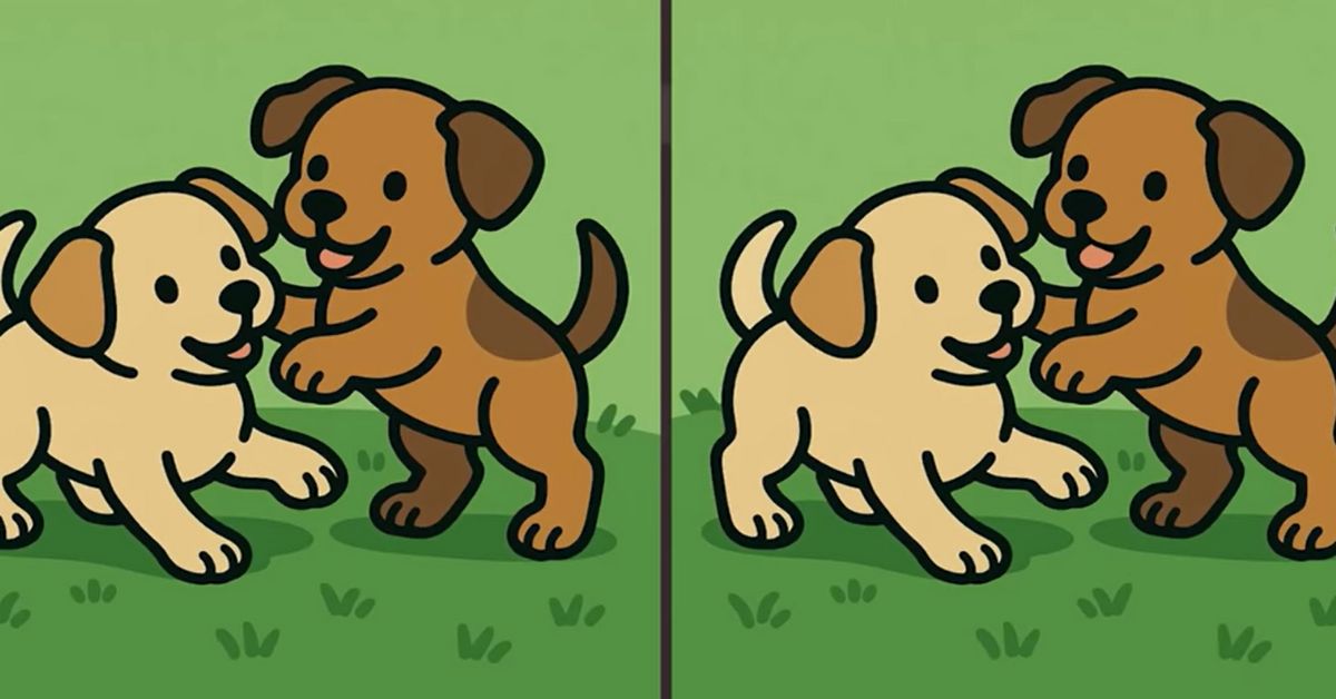 Spot the 3 Differences in Puppies Playing Beat the 51-Second Challenge!