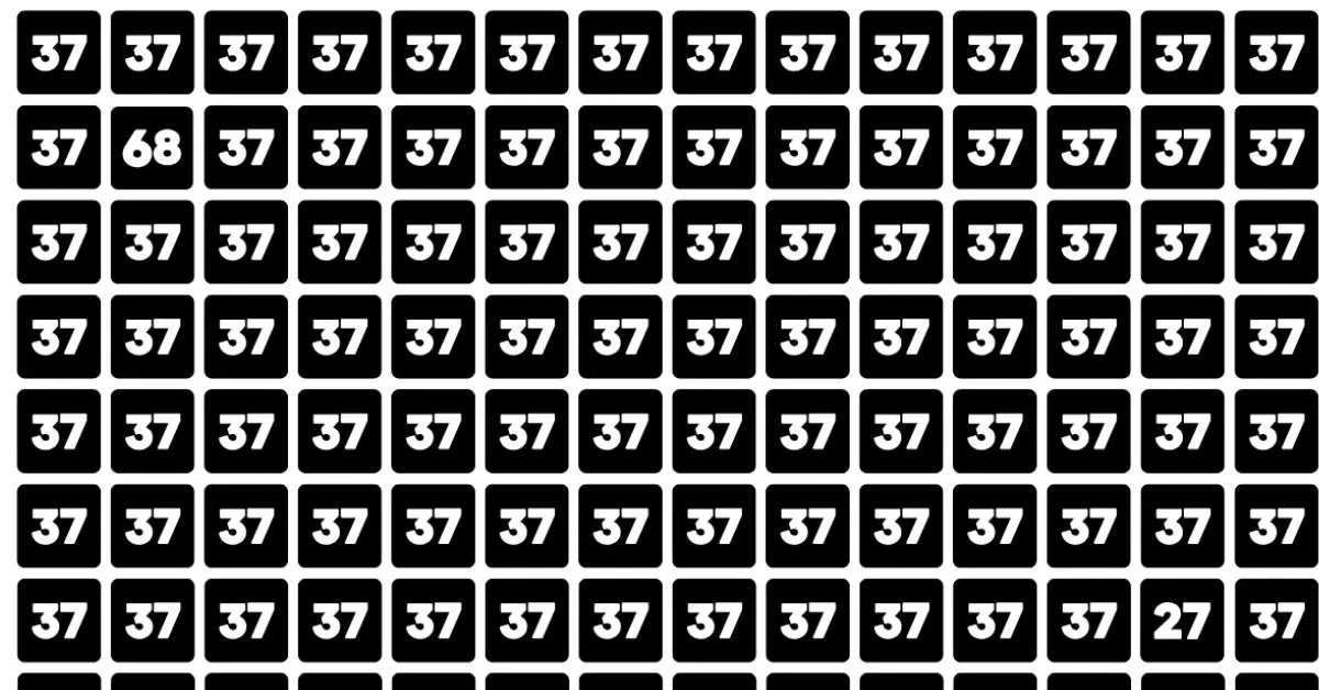 Find the Odd Numbers