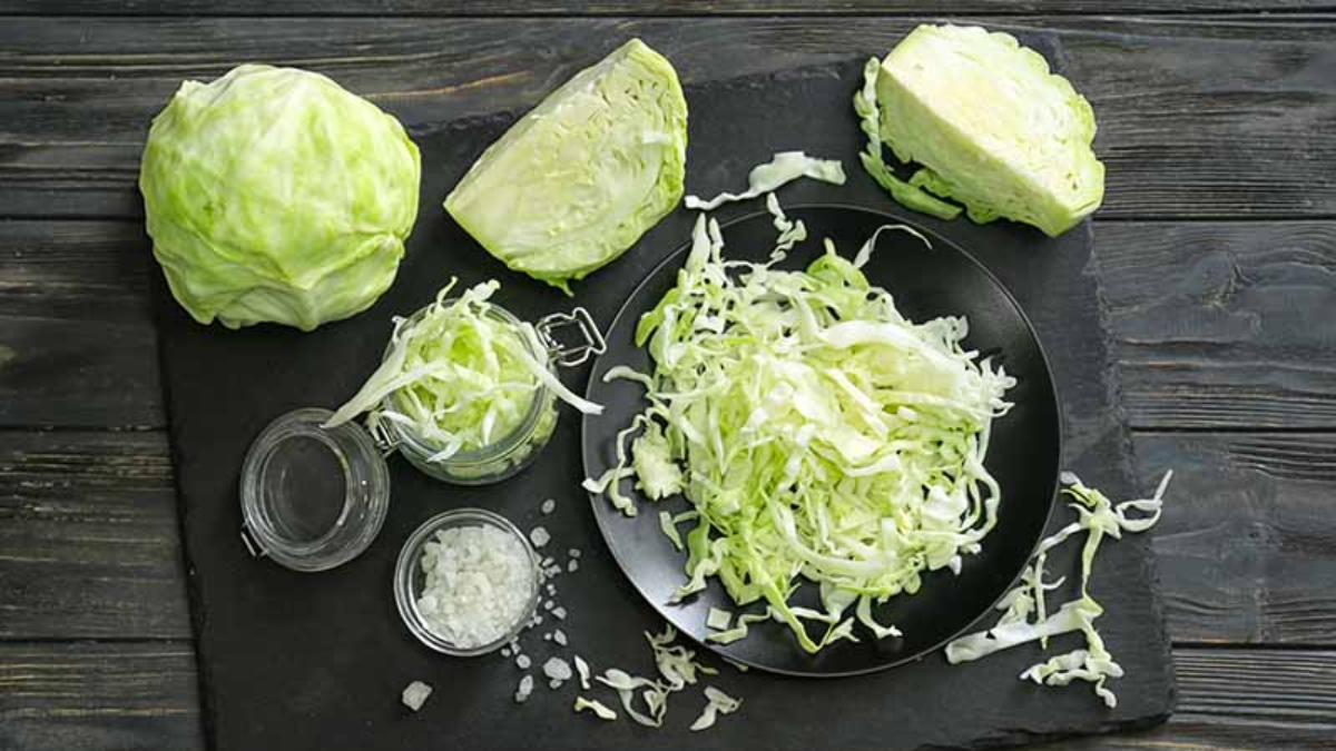 Difference Between Lettuce and Cabbage
