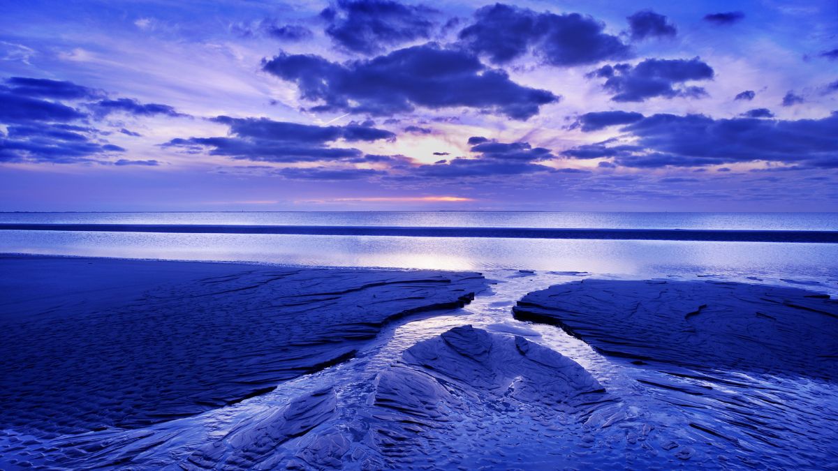 Which Is the Largest Delta in the World?
