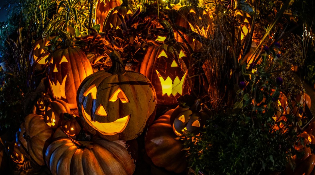 List of Top 10 Halloween Traditions