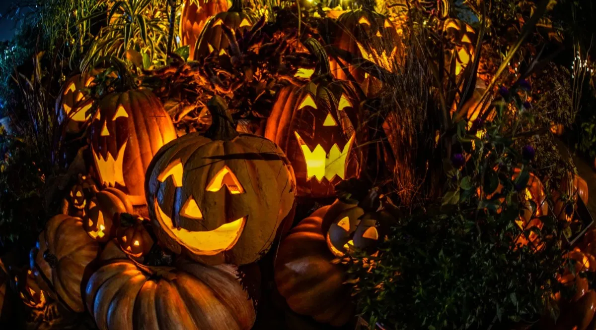 Halloween Traditions