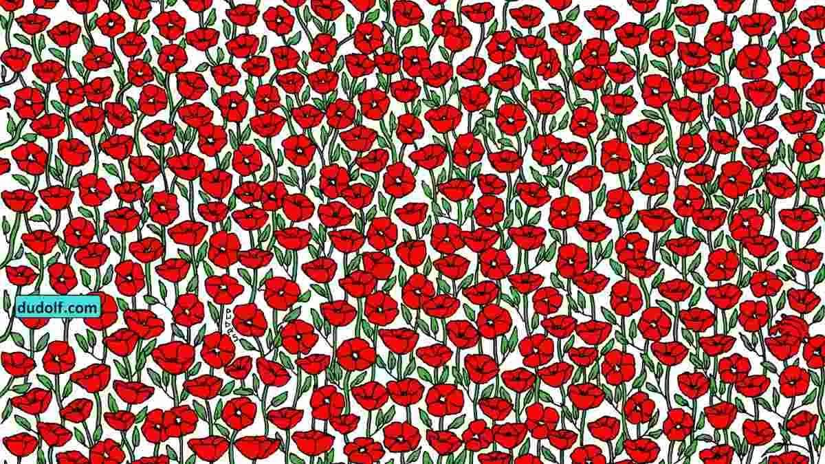 Only 5% Highly Attentive With IQ Above 250 Can Spot The Hidden Crab In This Field Of Poppies In 25 Seconds!