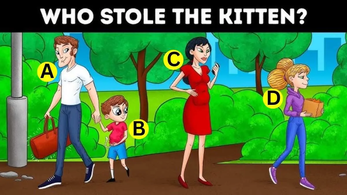 Find who stole the kitten.
