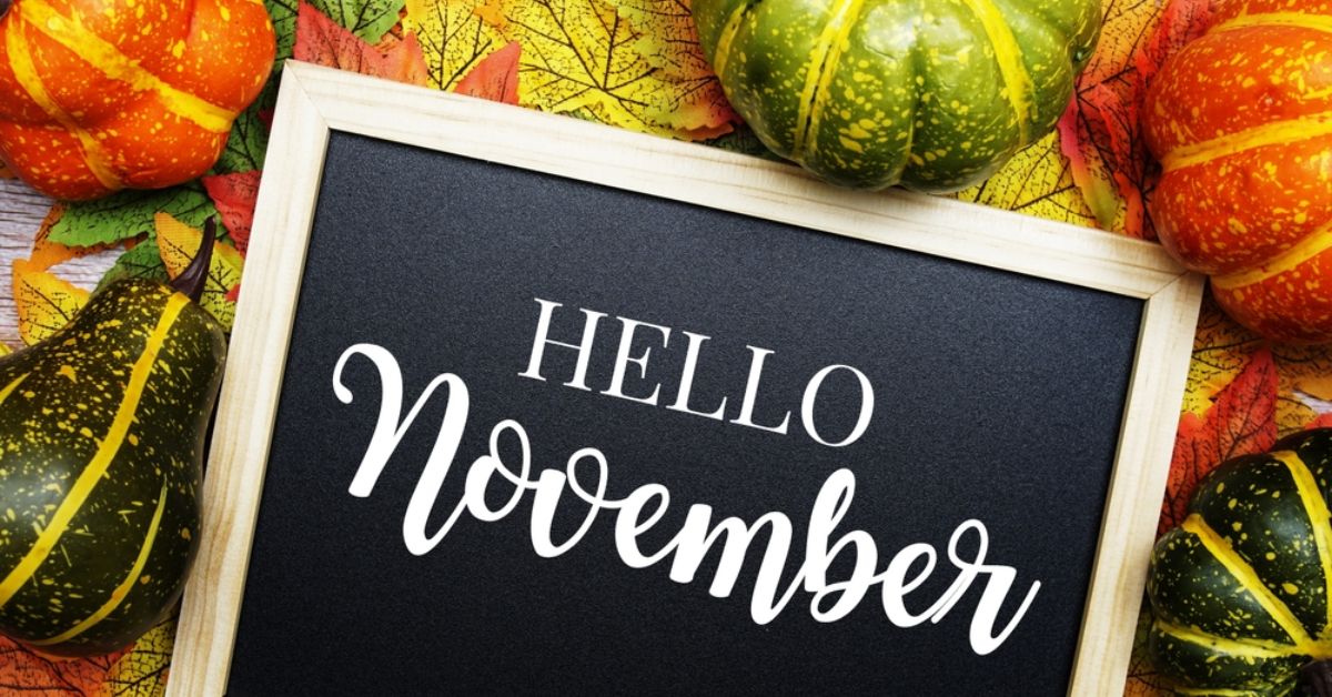 Important Days in November 2025: National and International Dates List