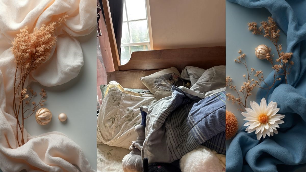 Check Your Eye-Vision with High IQ by Snipe the Hidden Lizard in this Aesthetic Collage Visual Illusion in 11 Seconds!